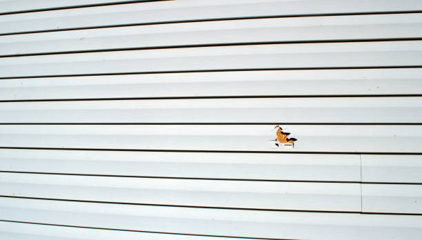 Best Fiber Cement Siding Installation  in Fredonia, AZ